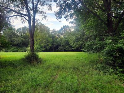 Lot 595 Cardinal Drive