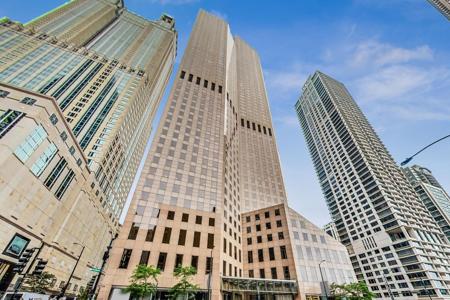 950 N Michigan Avenue