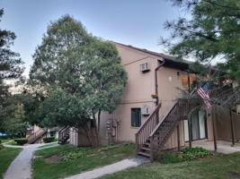 46 Nassau Colony
