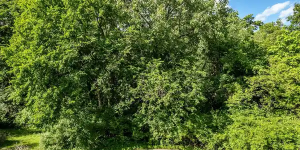 217 New Forest Road SW