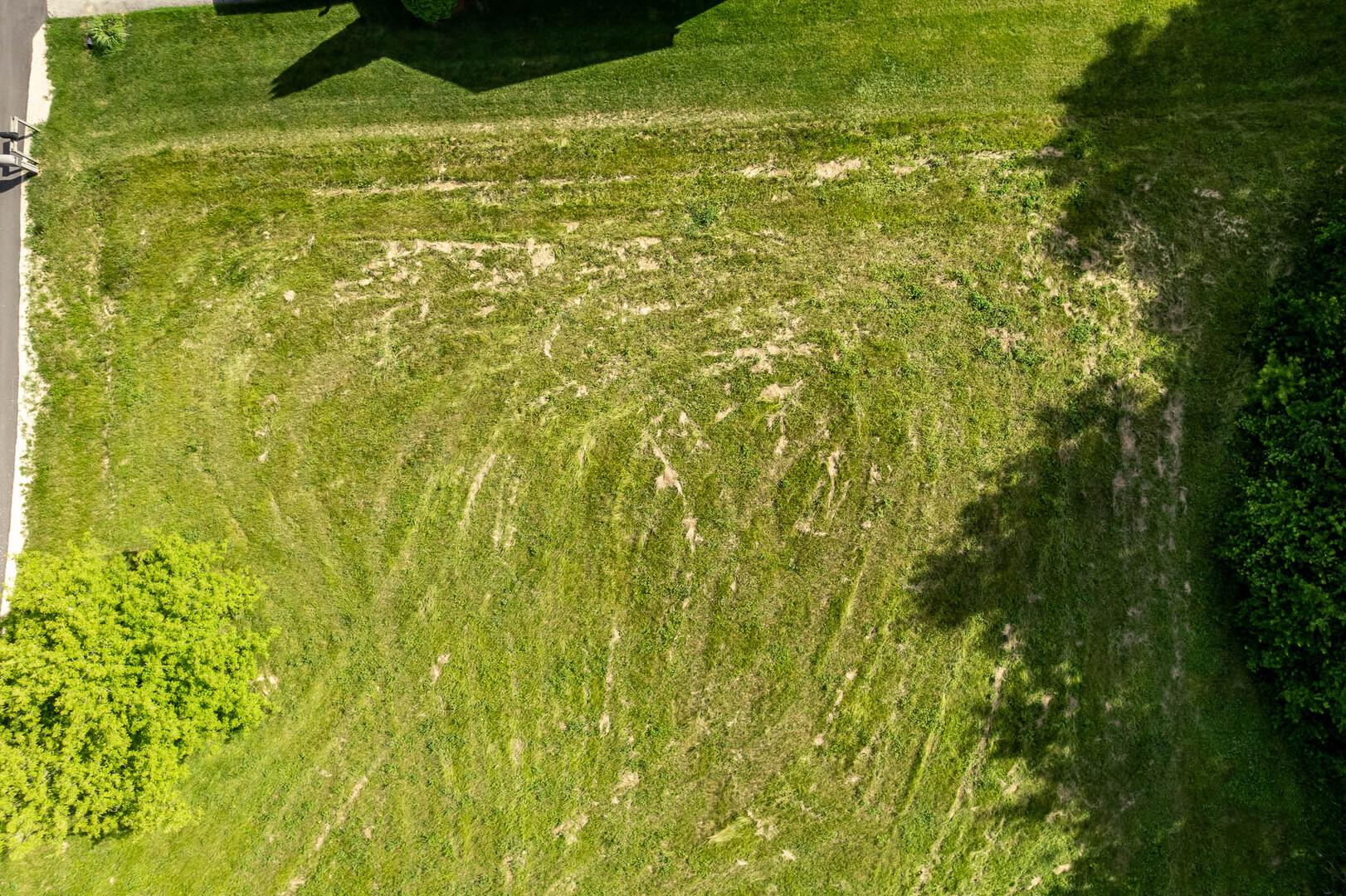 Image 3 Image 3