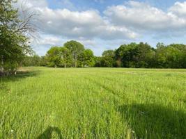 7.6 Acres N New Venice Way