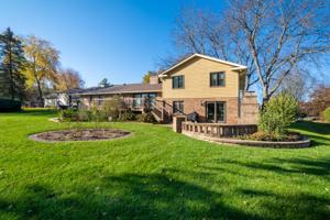 41335 N Point Drive