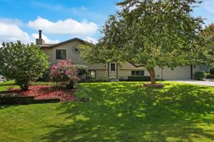 615 Nancy Lane