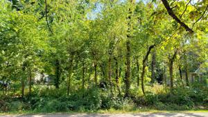 620 Rustic Rook Drive