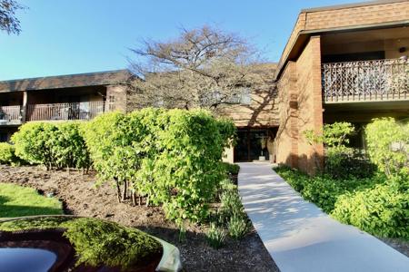 10 Old Oak Drive