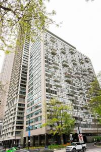 1000 N Lake Shore Drive