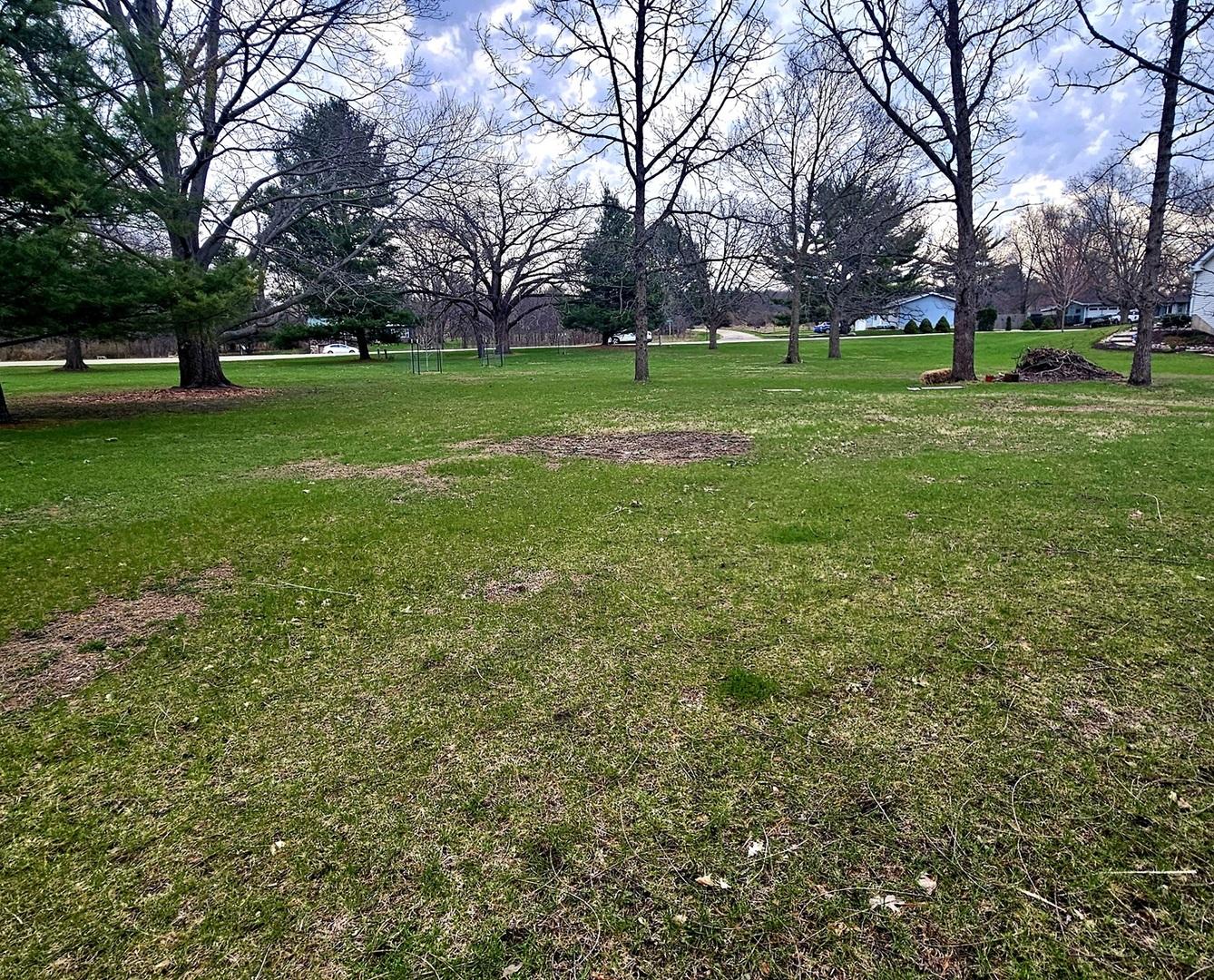 Image 2 Image 2
