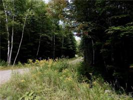 1319 Sloper Lane