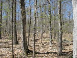 lot 3-16 Eagle Drive