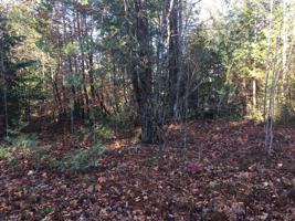 00 Lot 9 Wentworth Cove Road