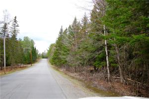 Lot A01 Mingo Loop RD