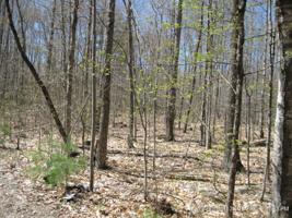 lot 3-16 Eagle Lane