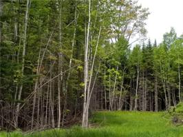 Lot 5 Kineo DR