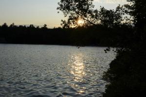 Lot 3 Black Bear Drive
