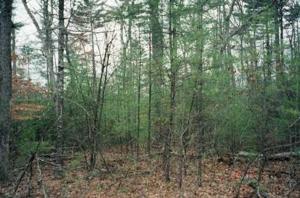 0 Chimera Hill Road