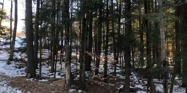 Lot A190 Deerfield Drive