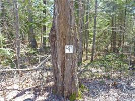 0 Peninsula Drive LOT 7