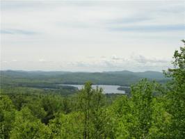 0 Bear Trap RD