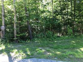 24 Bear Track LN