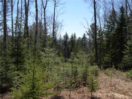 Lot 5 Manor Woods RD