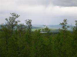 Lot 6 Quill Gordon LN
