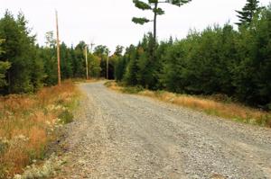 8 Tomhegan DR
