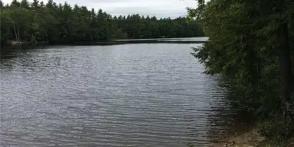 00 New Dam Road