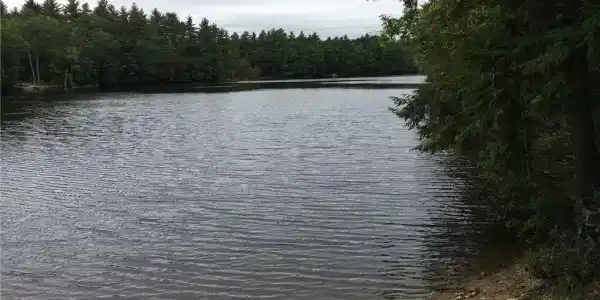 43Acres New Dam Road