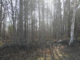 Lot 14-1 Macomber Road