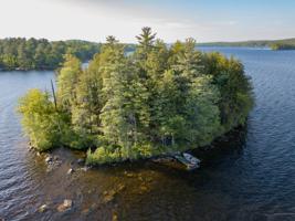 11 Pine Island