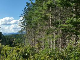 Lot 27 Loop Road