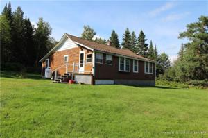 347 Mingo Loop Road