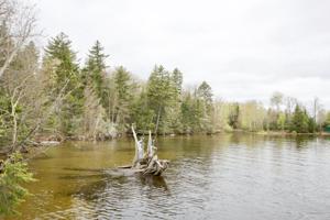 Lot 3/4 Shelton Trail