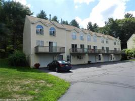 24 Hydrangea CIR 2