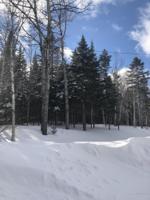 120 Taylor Farm Road