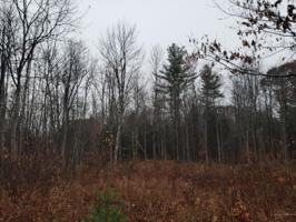 Lot 2 & 3 Longwood Drive