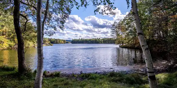 49 Lakeview Drive