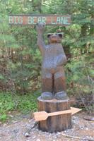 Lot # 11 Big Bear Lane