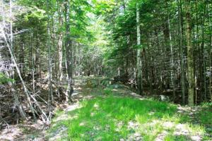 TBD Ridge Parkway