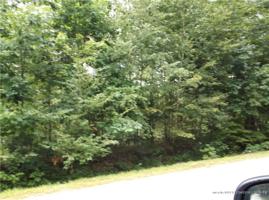 1 Royal Coachman Way