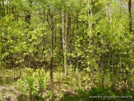 Lot 218 Wildewood Drive