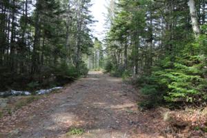 M33/L2+3 Shelton Trail