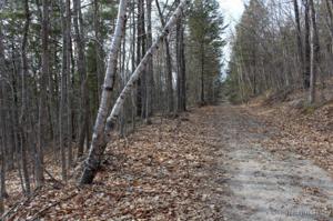0 Muddy Bogg Road