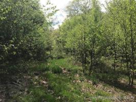 Lot 22 Oak Ridge Road