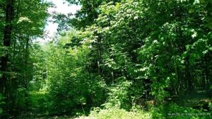 Lot 14 Hawk Ridge Road