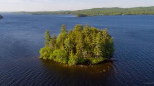 11 Pine Island