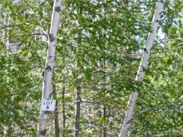 Lot 6 Peninsula Drive