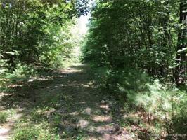 Quaker Quaker Lane