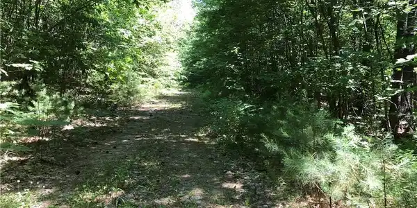 Quaker Quaker Lane